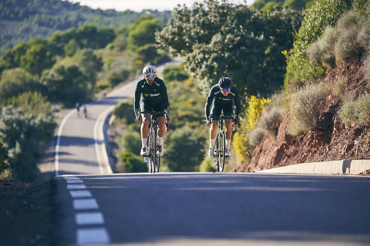 Two road cyclists climbing a winding, sunlit road
